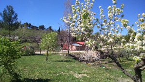 Albergue 2 « Los Perlitos